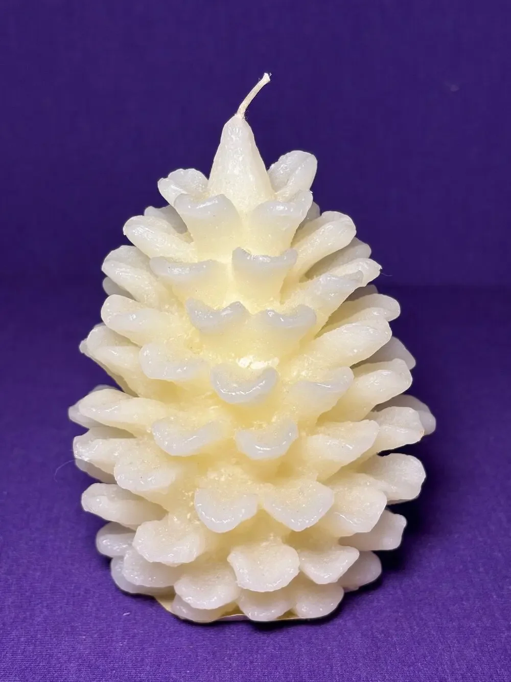 Pottery Barn medium pinecone candle 5'